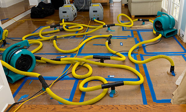 Professional Burst Pipe Water Damage technician working in Union City, IN